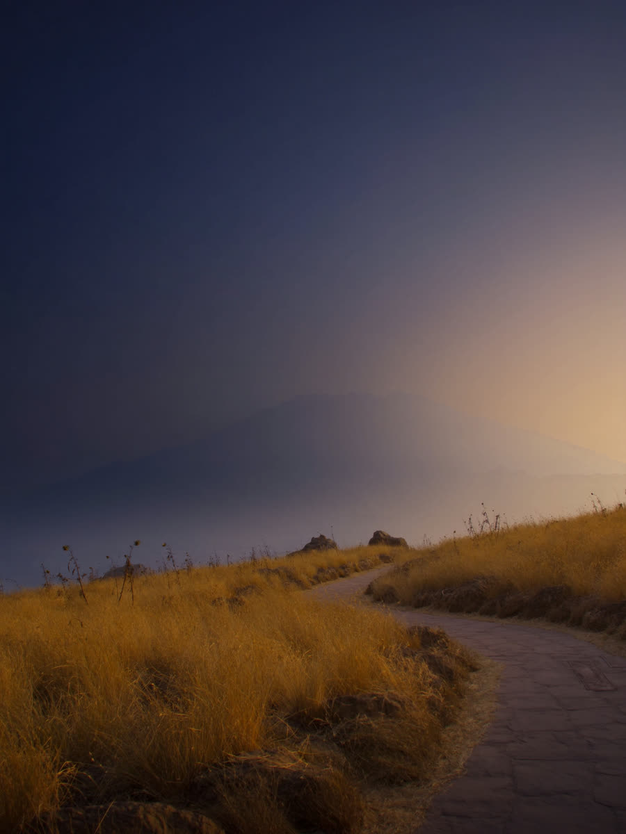 Quiet stone footpath winding through a golden field at sunrise